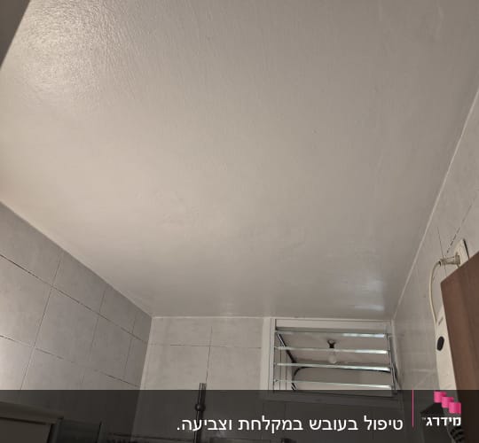 תקרה וחדר אמבטיה עם אריחים